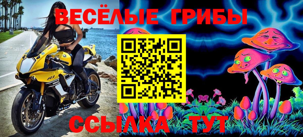 Галлюциногенные грибы ЛСД Истра