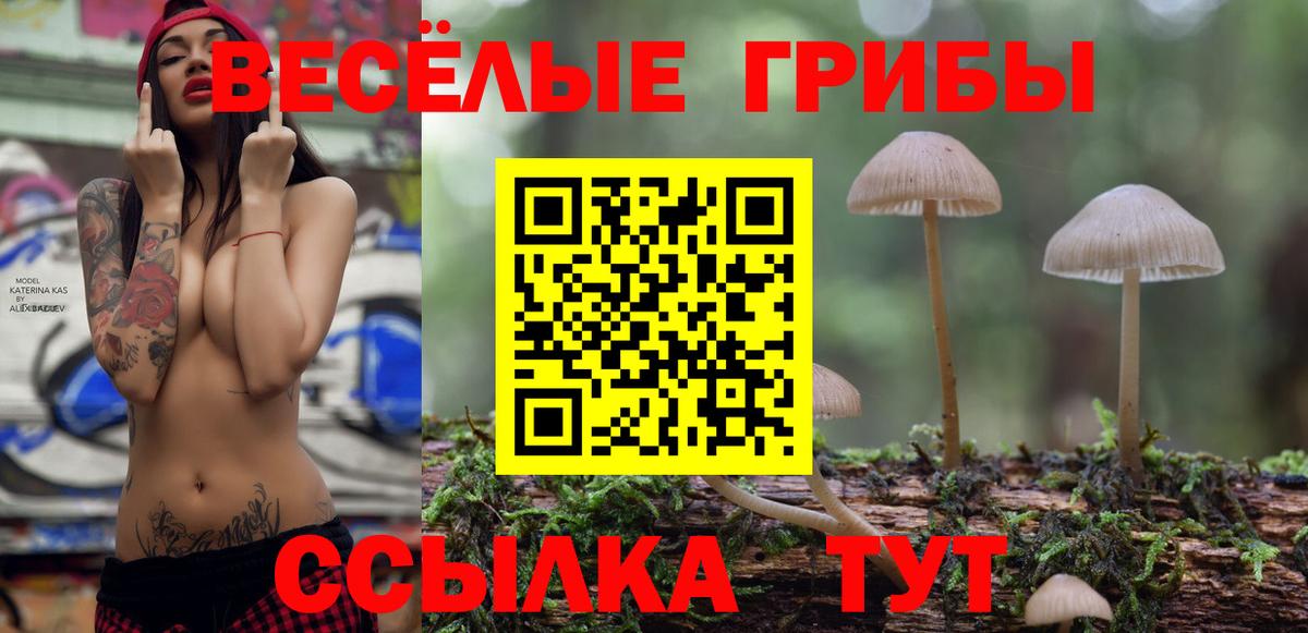 Истра  Галлюциногенные грибы Cubensis  Вход с VPN  Псилоцибиновые грибы ЛСД 